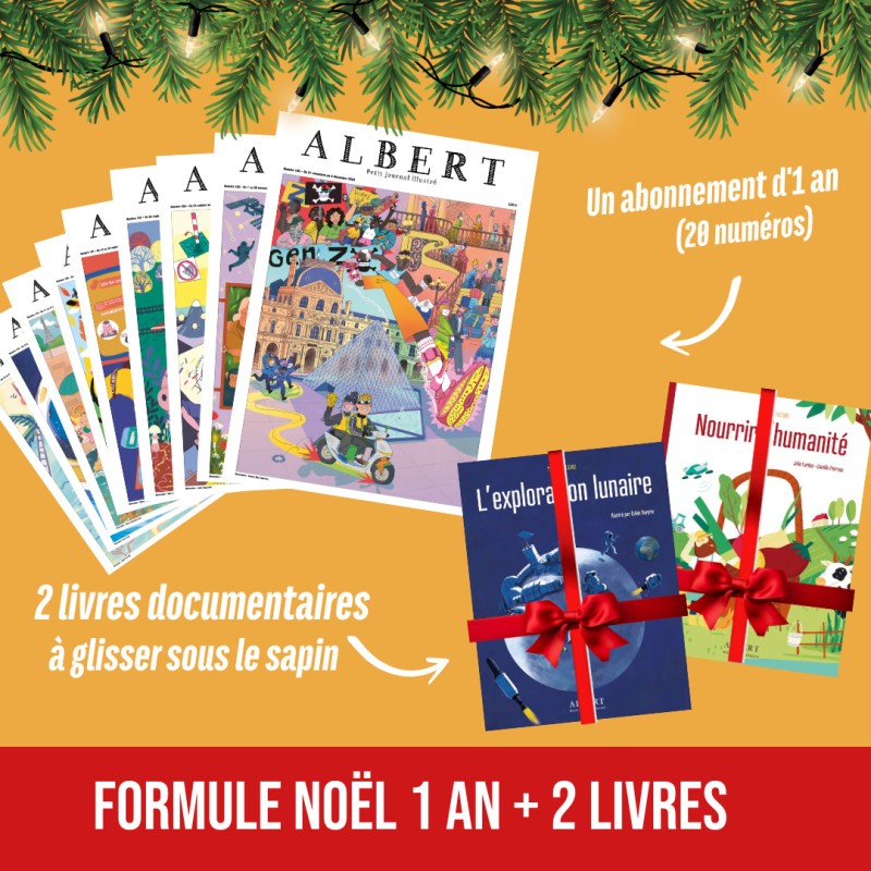 Pack Noël 1 an + 2 livres (Frais de port inclus)