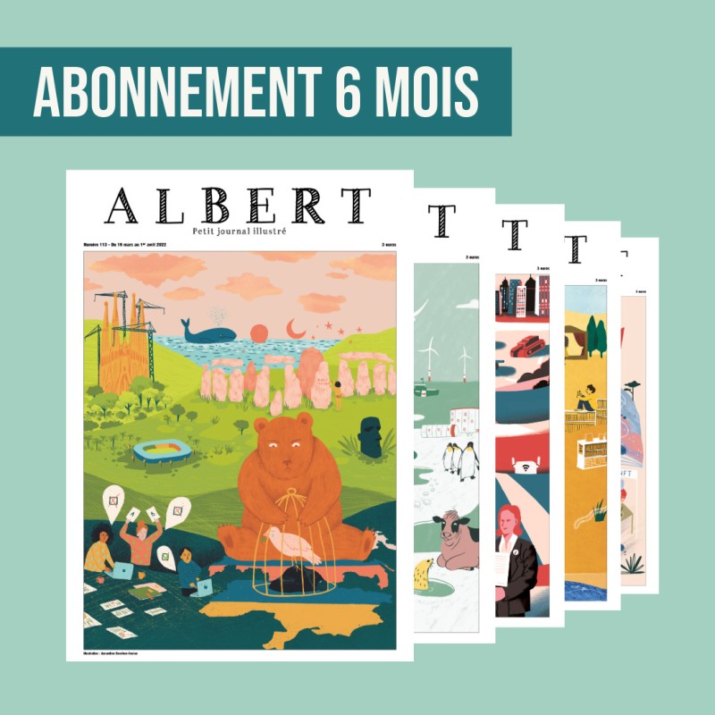 Abonnement 6 mois - 10 numéros