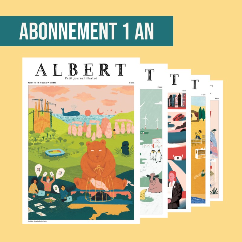 Abonnement 1 an - 20 numéros