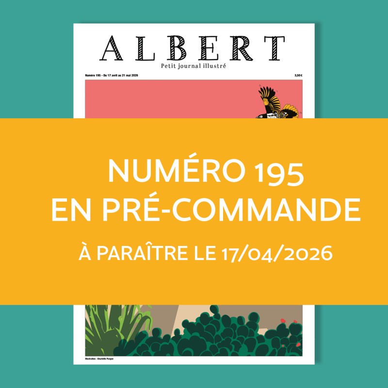 Albert n°195